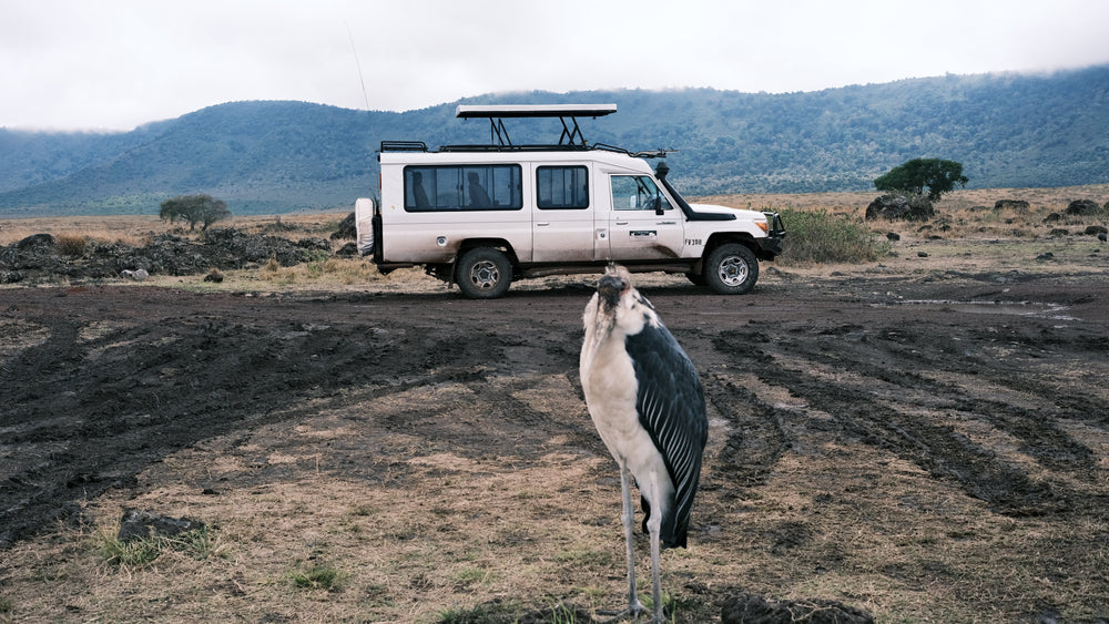 Meditation Retreat 𓃰 Tanzania, Africa