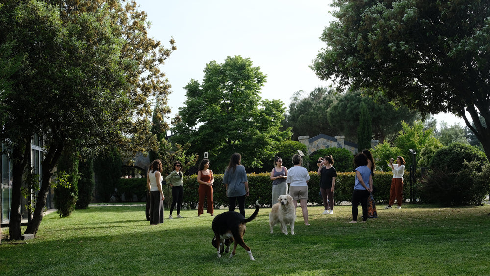 Back to Earth Wellness Curation 𓃬 Grandma's Wonderland x Smarana - Silivri, Turkey