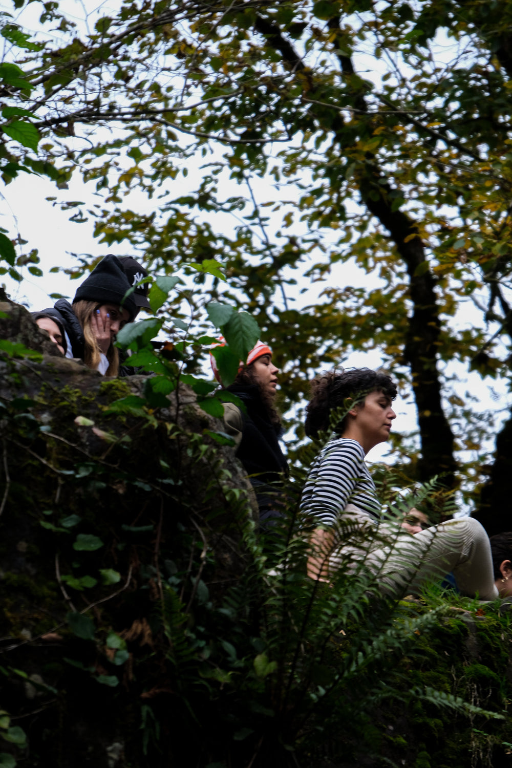 Meditation Retreat  𓃾  Rize, Turkey