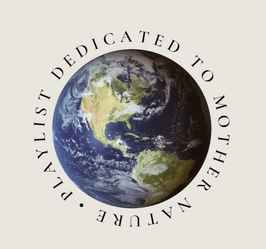 Spirit of the Pine Tree