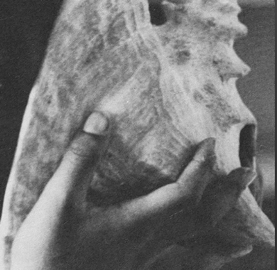 Somatic Breathwork 30 min Playlist by Natalie