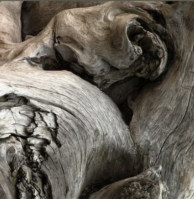 The Year of the Wood Dragon 春节 by Smarana Healing