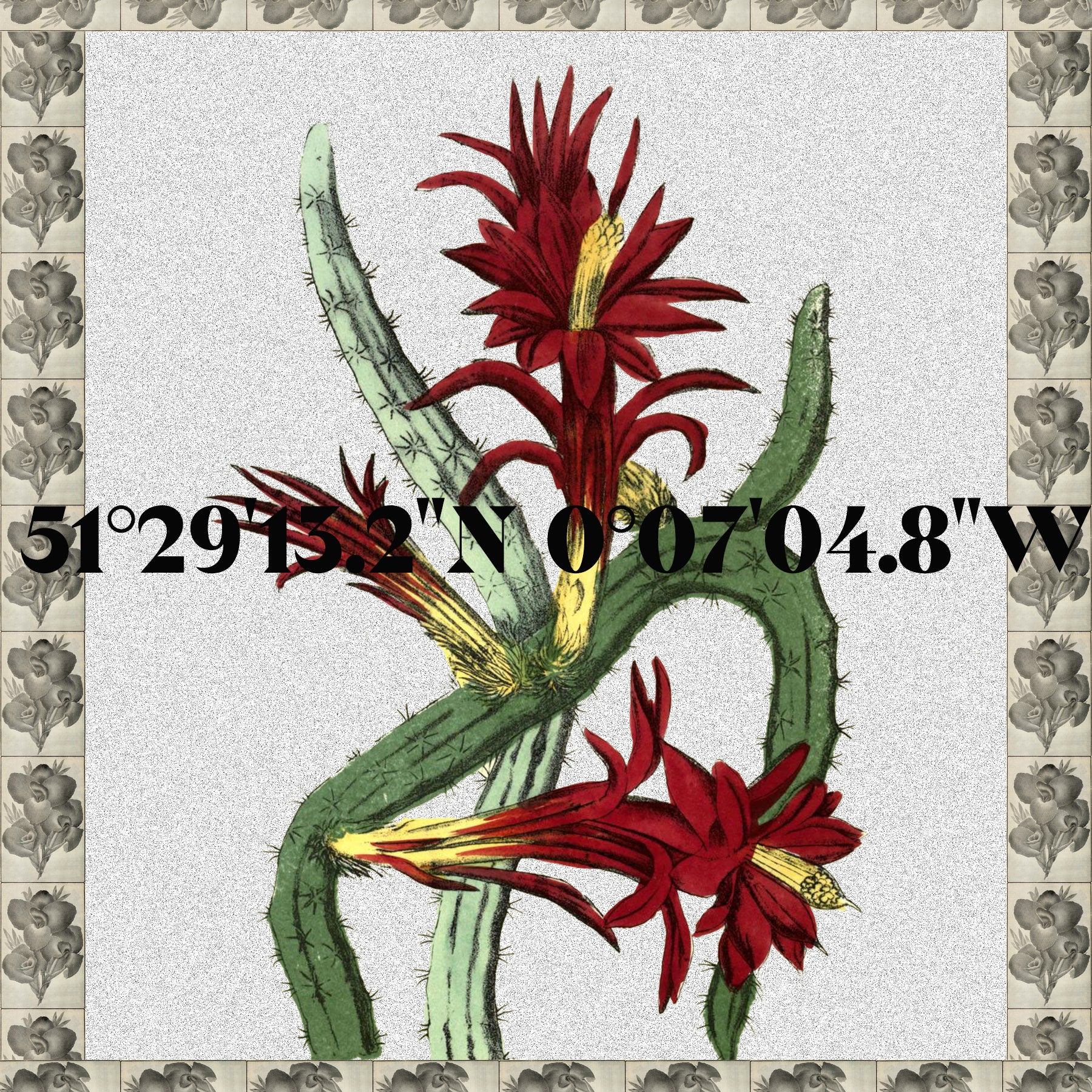 The Rhythm Within by Tenera