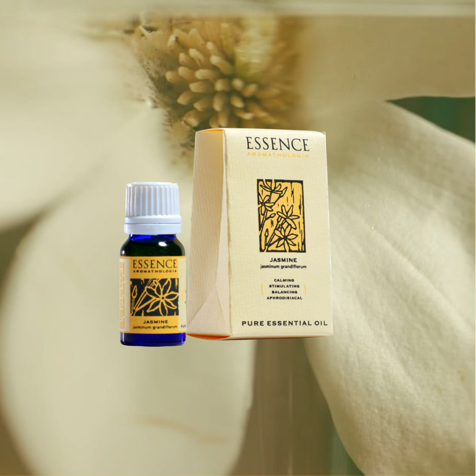 Pure Essential Oil - Jasmine