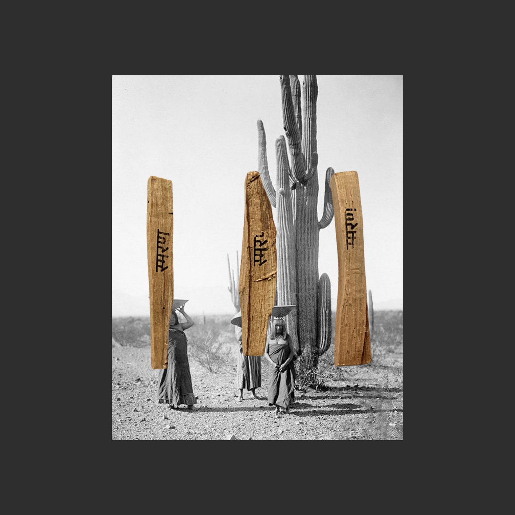 Palo Santo Sticks (Bundle of 2)